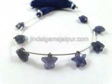 Iolite Faceted Star Beads