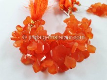 Carnelian Flat Table Cut Fancy Beads Carnelian Flat Table Cut Fancy Beads