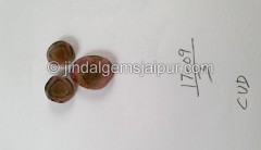 Watermelon Tourmaline Smooth Slices -- DETUR97 Watermelon Tourmaline Smooth Slices -- DETUR97