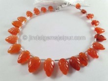 Carnelian Carved Leaf Beads