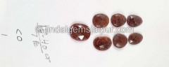 Iolite Sunstone Rose Cut Slices