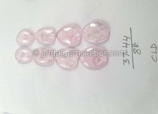 Pink Morganite Rose Cut Slices -- DEMRGT19