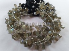 Labradorite Fancy Cut Drops Beads