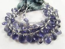 Iolite Faceted Dolphin Pear Beads --  IOLA33