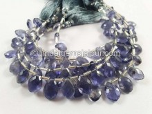 Iolite Faceted Dolphin Pear Beads