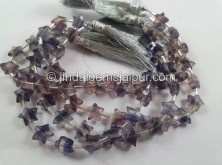 Fluorite Faceted Star Beads -- FLRT30