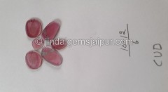 Watermelon Tourmaline Smooth Slices -- DETUR95 Watermelon Tourmaline Smooth Slices -- DETUR95