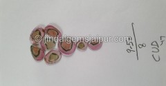 Watermelon Tourmaline Smooth Slices -- DETUR96 Watermelon Tourmaline Smooth Slices -- DETUR96