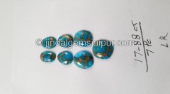 Copper Mohave Turquoise Rose Cut Slices -- DETRQ205