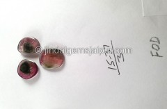 Watermelon Tourmaline Smooth Slices