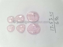 Pink Morganite Rose Cut Slices -- DEMRGT7