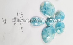 Larimar Rose Cut Slices