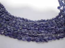 Iolite Faceted Coin