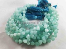 Amazonite Faceted Trillion Beads