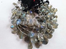 Labradorite Faceted Fancy Shape Beads -- LABA85