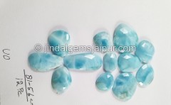 Larimar Rose Cut Slices