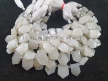 White Moonstone Faceted Reverse Pentagon Beads