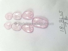 Pink Morganite Rose Cut Slices -- DEMRGT15