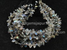 Labradorite Faceted Marquise Beads