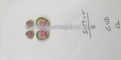 Watermelon Tourmaline Smooth Slices -- DETUR99 Watermelon Tourmaline Smooth Slices -- DETUR99