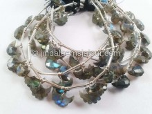 Labradorite Faceted Eagle Beads