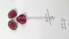 Watermelon Tourmaline Smooth Slices