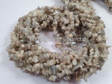 Grey Moonstone Smooth Chips Beads