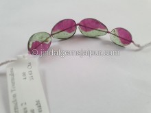 Watermelon Tourmaline Smooth Slices Beads -- TOWT66