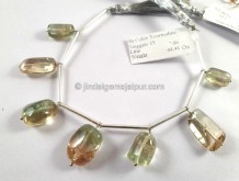 Bi Color Tourmaline Smooth Nugget Beads -- TOWT39