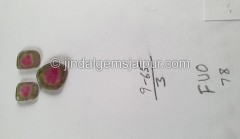 Watermelon Tourmaline Smooth Slices -- DETUR180