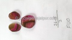 Watermelon Tourmaline Smooth Slices -- DETUR175 Watermelon Tourmaline Smooth Slices -- DETUR175