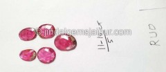 Watermelon Tourmaline Rose Cut Slices