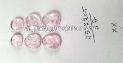 Morganite Rose Cut Slices