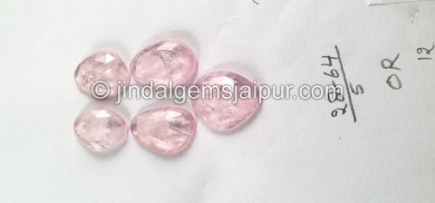 Morganite Rose Cut Slices Morganite Rose Cut Slices