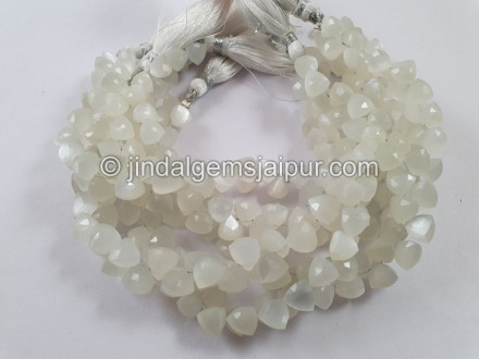 White Moonstone Faceted Trillion Beads White Moonstone Faceted Trillion Beads