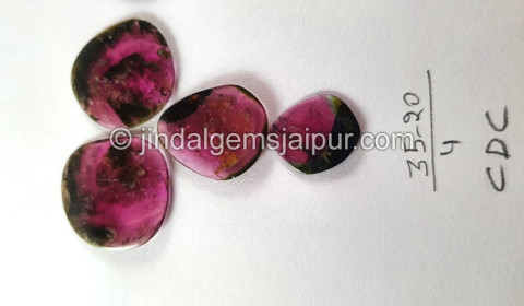 Watermelon Tourmaline Smooth Slices