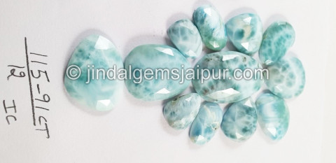Larimar Rose Cut Slices