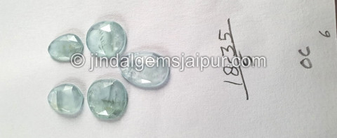 Milky Aquamarine Rose Cut Slices Milky Aquamarine Rose Cut Slices