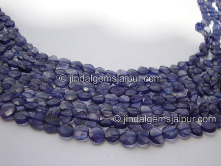Iolite Faceted Coin Shape Beads