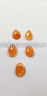 Mandarin Garnet Rose Cut Slices Mandarin Garnet Rose Cut Slices
