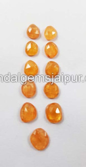 Mandarin Garnet Rose Cut Slices Mandarin Garnet Rose Cut Slices