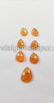 Mandarin Garnet Rose Cut Slices Mandarin Garnet Rose Cut Slices