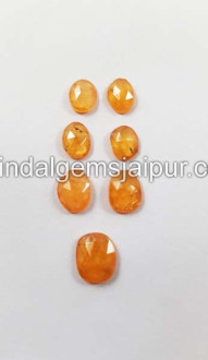 Mandarin Garnet Rose Cut Slices Mandarin Garnet Rose Cut Slices