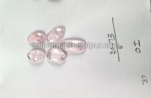 Morganite Rose Cut Slices