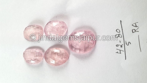 Morganite Rose Cut Slices Morganite Rose Cut Slices
