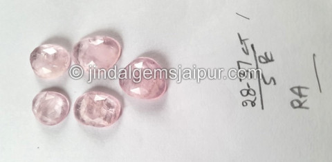 Morganite Rose Cut Slices Morganite Rose Cut Slices