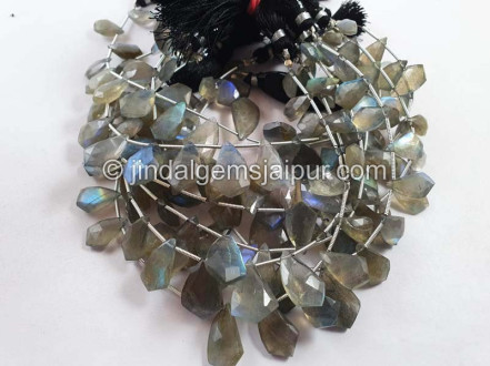 Labradorite Faceted Fancy Shape Beads Labradorite Faceted Fancy Shape Beads