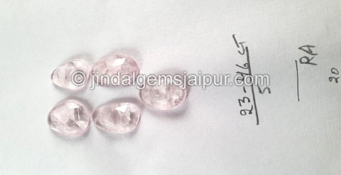 Morganite Rose Cut Slices Morganite Rose Cut Slices