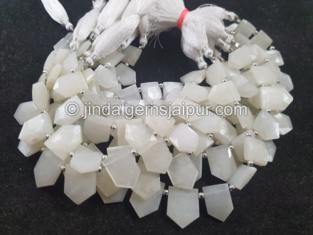 White Moonstone Faceted Reverse Pentagon Beads White Moonstone Faceted Reverse Pentagon Beads