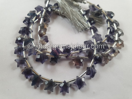 Fluorite Blue Faceted Star Beads